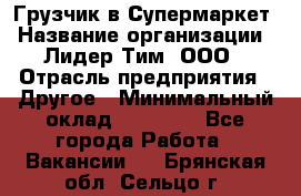 Грузчик в Супермаркет › Название организации ­ Лидер Тим, ООО › Отрасль предприятия ­ Другое › Минимальный оклад ­ 19 000 - Все города Работа » Вакансии   . Брянская обл.,Сельцо г.